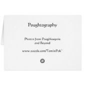 Pop Art Unisphere Cards (Back Horizontal)