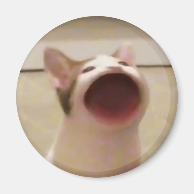 Pop Cat Magnet (Front)