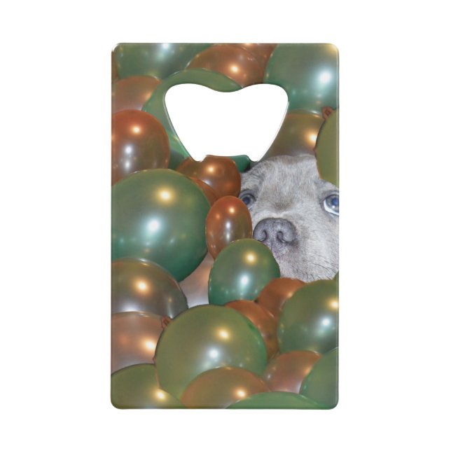 Pop Fest: Funny Staffy Puppy In The Balloons, Credit Card Bottle Opener (Front)