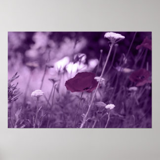 pop-i purple  print