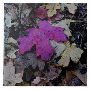 Pop of pink foliage ceramic tile