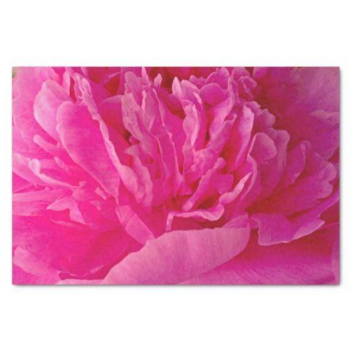 Pop of Pink Peony_TISSUE WRAPPING PAPER