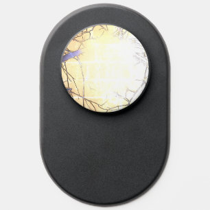 POP SOCKETS ART AND DESIGN