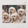 Pop Up! Puppies Postcard