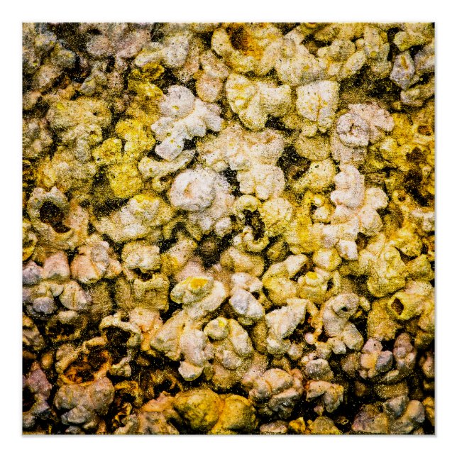 Popcorn Poster (Front)