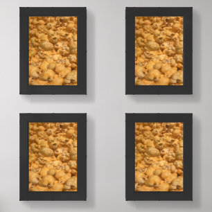 Popcorn Wall Art Sets