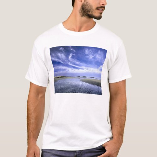 POPHAM BEACH STATE PARK MAINE USA Cirrus T_Shirt