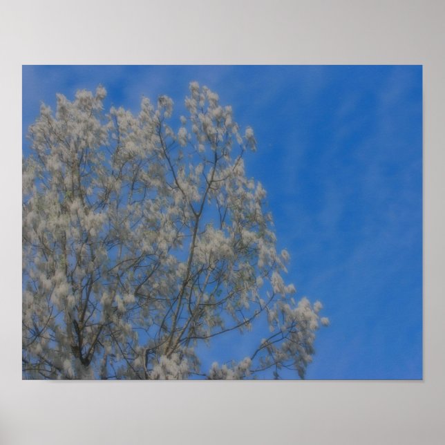 Poplar Tree Fluff Snow In June Orton Nature Art Poster (Front)
