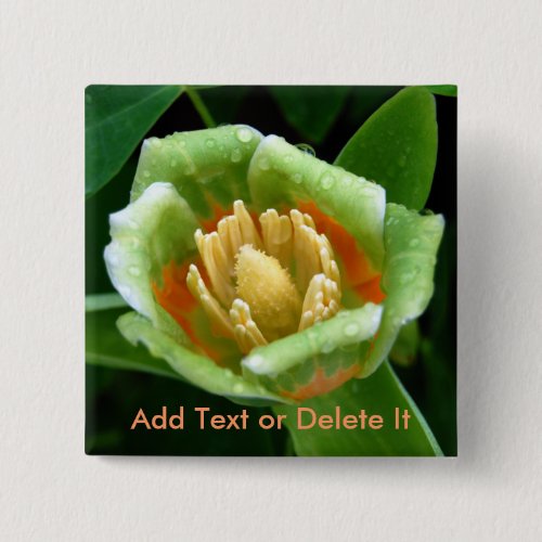 Poplar tree tulip pin