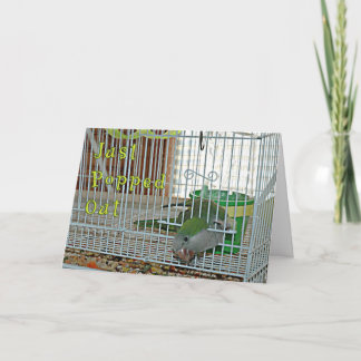 Popped Out Card