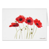 Poppies (Front Horizontal)