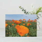 Poppies again (Standing Front)