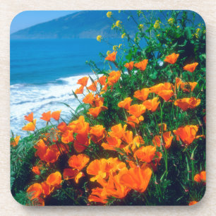 Poppies along the Pacific Coast near Big Sur Beverage Coaster