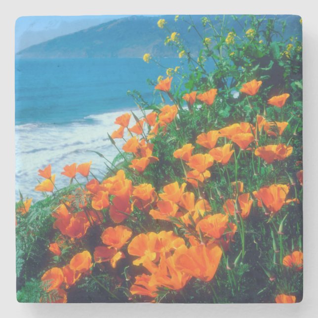 Poppies along the Pacific Coast near Big Sur Stone Coaster (Front)