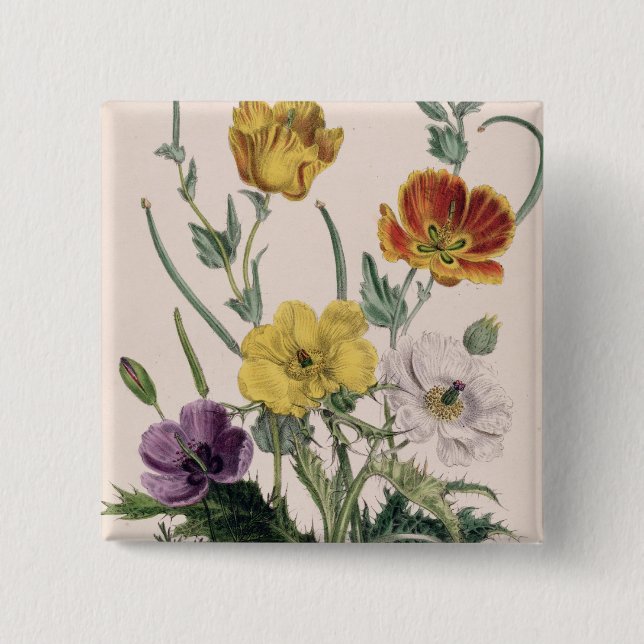 Poppies and Anemones Button (Front)