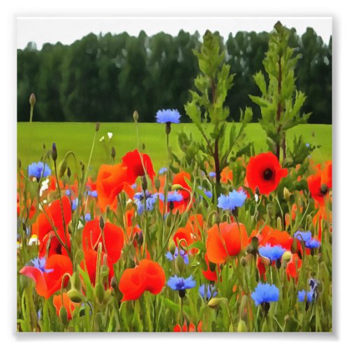 Poppies And Cornflowers Realistic Landscape Art Photo Print