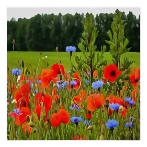 Poppies And Cornflowers Realistic Landscape Art Poster