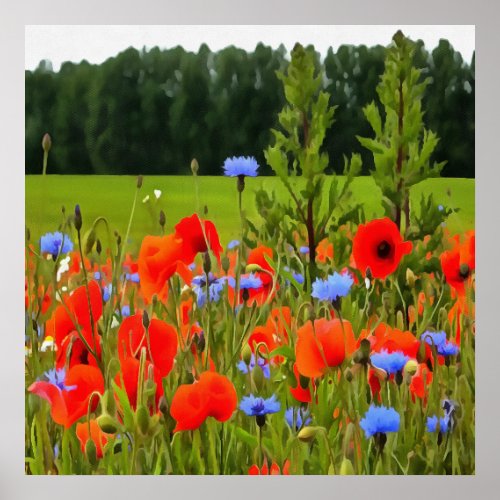 Poppies And Cornflowers Realistic Landscape Art Poster