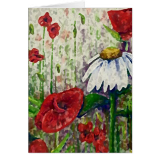 Poppies and Daisies Cards