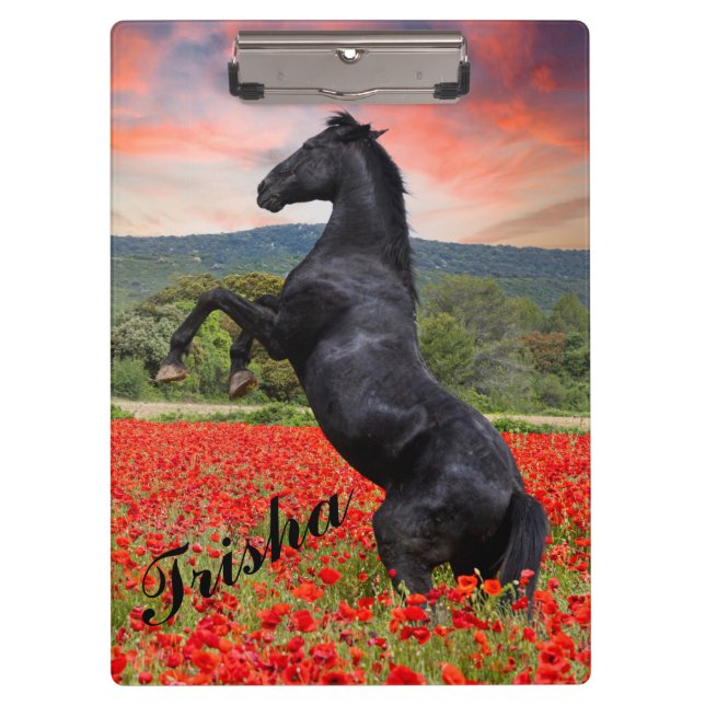 Poppies and Horse Clipboard (Front)