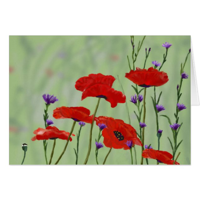 Poppies Any Occasion Blank Cards (Front Horizontal)