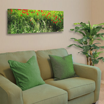 Poppies Canvas Print by aura2000 at Zazzle