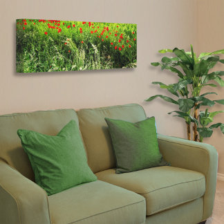 Poppies Canvas Print