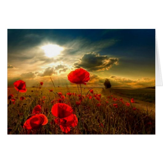 Poppies Cards (Front Horizontal)