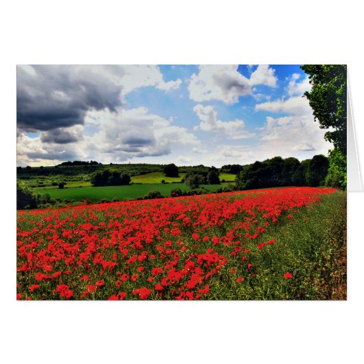 Poppies Cards (Front Horizontal)