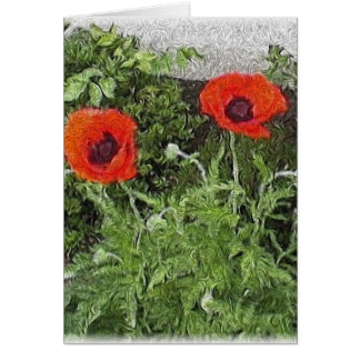 poppies cards