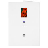 Poppies Cards (Back)