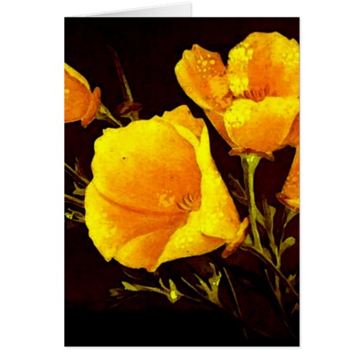 Poppies Cards (Front)