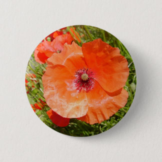 Poppies - Coquelicots Button