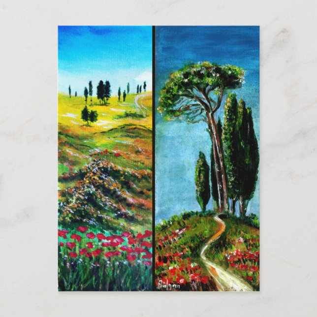 POPPIES, CYPRESS AND MEDITERRANIAN PINE IN TUSCANY POSTCARD (Front)