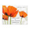 Poppies Deco Shawn