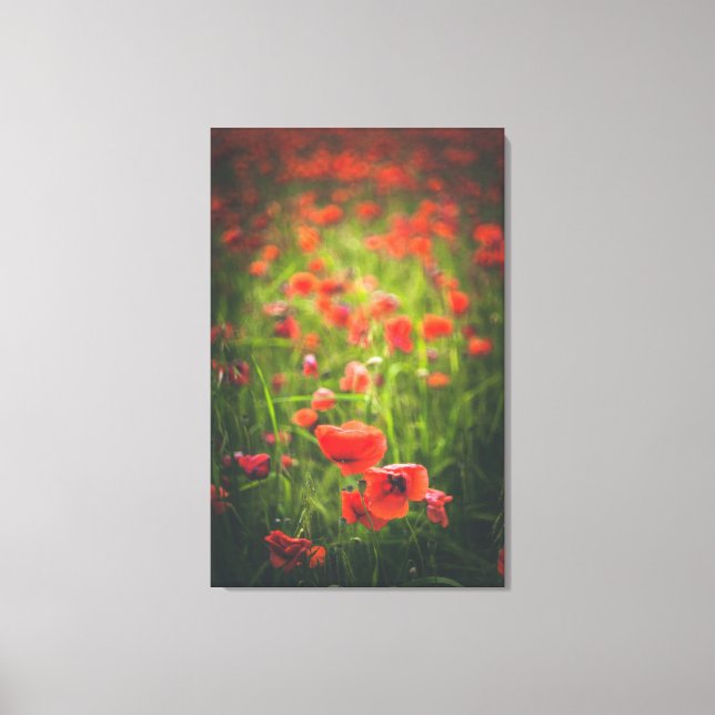 Poppies field canvas print (Front)