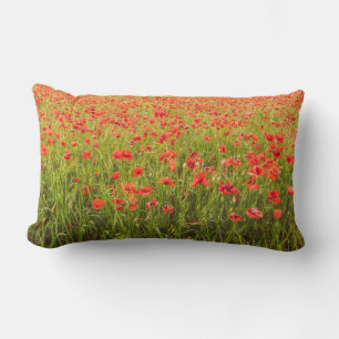 Poppies field lumbar pillow