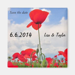 Poppies field magnet