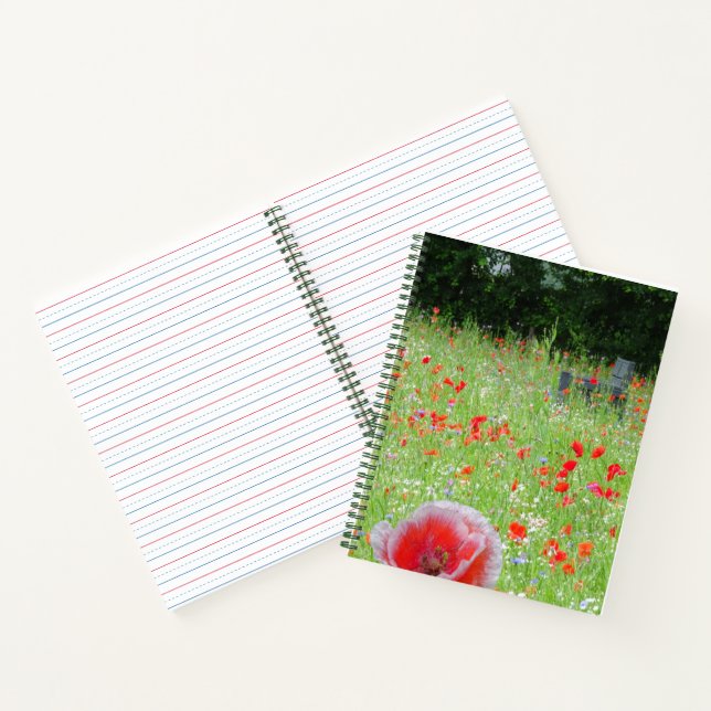 Poppies Field with Bench EDS Notebook (Inside)