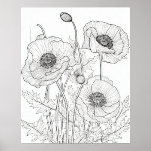 Poppies Flowers Coloring Poster for Adults