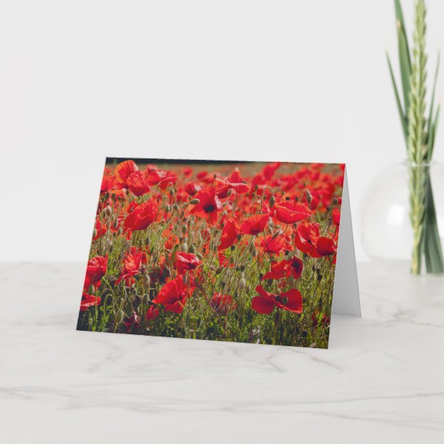 Poppies Greetings Card (Front)