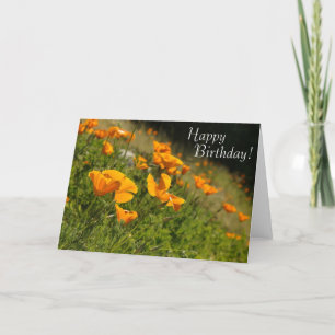 Poppies Happy Birthday Card