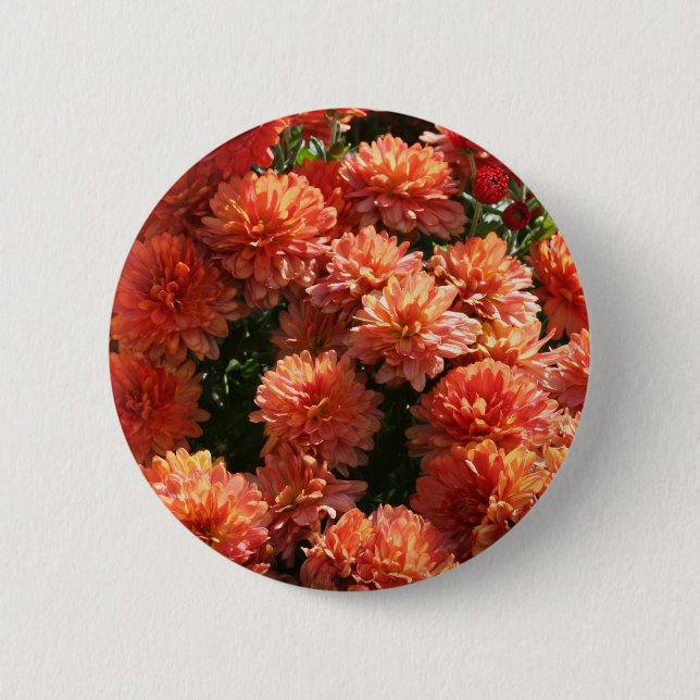 Poppies I Button (Front)
