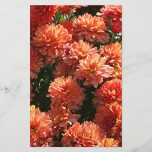 Poppies I Stationery