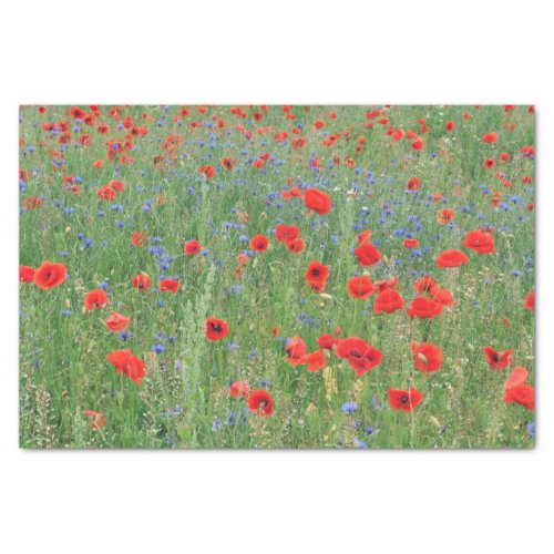 Poppies in a Cornfield Tissue Paper