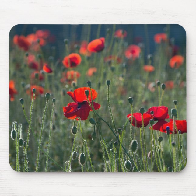 Poppies in a Field Mouse Pad (Front)