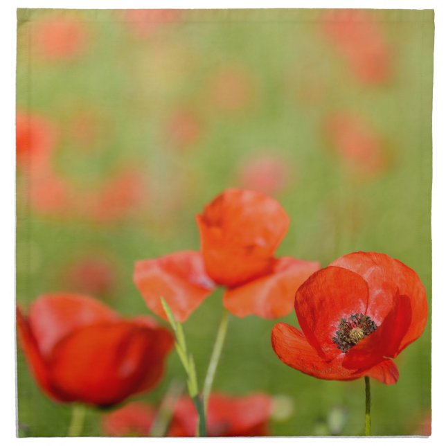 Poppies in a poppy field cloth napkin (Front)