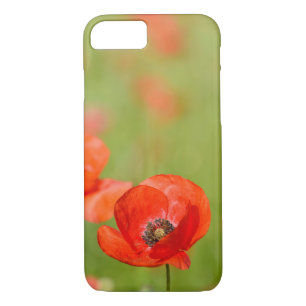 Poppies in a poppy field iphone 7 case