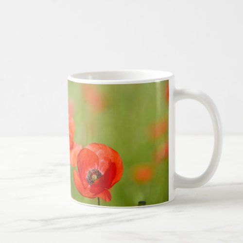 Poppies in a poppy field mug
