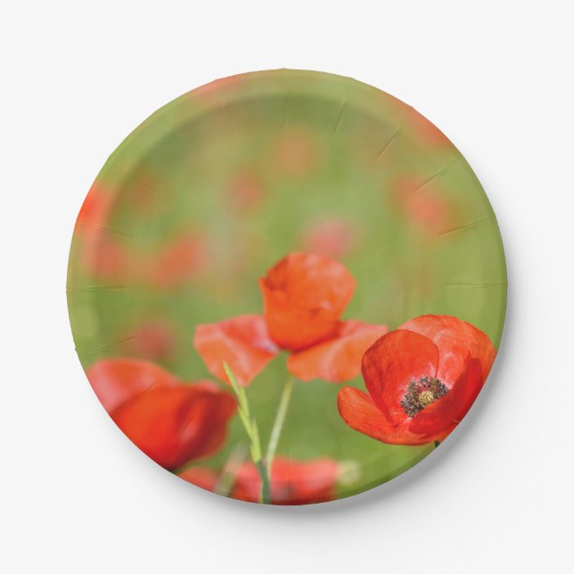Poppies in a poppy field picnic paper plate (Front)